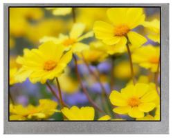 Новый цветной TFT-дисплей с улучшенным разрешением от Raystar