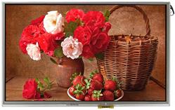 Raystar расширила семейство TFT-дисплеев серии P новой моделью